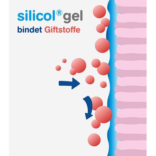Silicolgel gegen Magen-Darm-Erkrankungen - 7