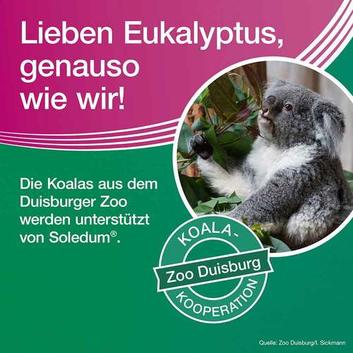 Soledum addicur 200 mg magensaftresistent Weichkapseln - 6