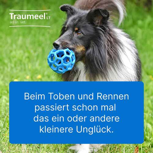 Traumeel LT Ampullen vet. (f&uuml;r Tiere) - 3