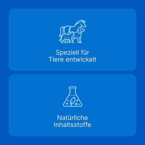 Traumeel LT Ampullen vet. (f&uuml;r Tiere) - 6