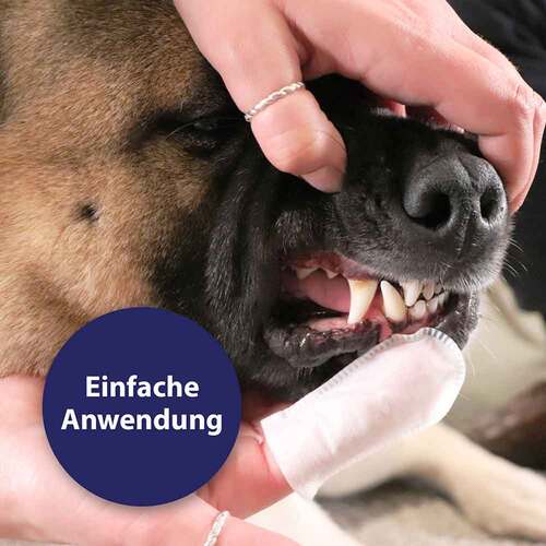 Canosept Zahnpflege Finger-Pads f&uuml;r Hunde - 4