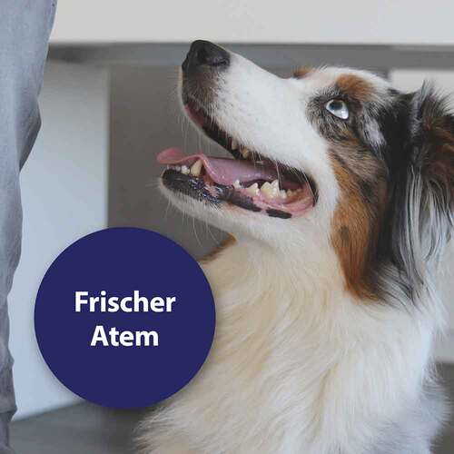 Canosept Zahnpflege Finger-Pads f&uuml;r Hunde - 5
