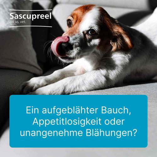 Sascupreel ad us. vet. Tabletten - 2