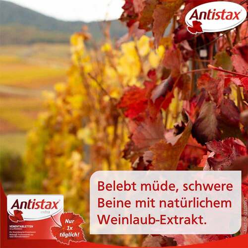 Antistax® extra Venentabletten bei Krampfadern - 3