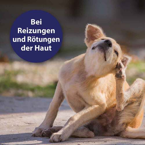 Canosept Hautpflege Spray f&uuml;r Hunde - 2