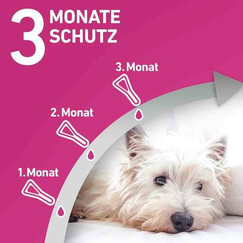 FRONTLINE TRI-ACT® gegen Zecke, Floh und fliegende Insekten bei Hunden (10-20kg) - 4