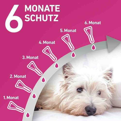 FRONTLINE TRI-ACT® gegen Zecke, Floh und fliegende Insekten bei Hunden (10-20kg) - 4