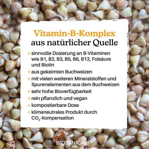 Biotanicals Vitamin B Kapseln - 4