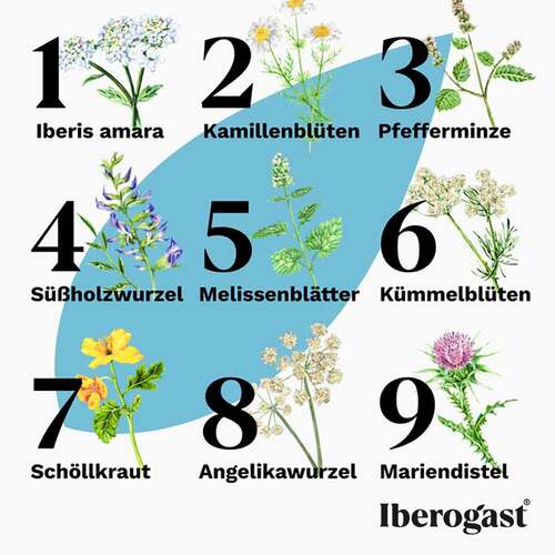 Iberogast Classic  - 5