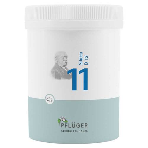 Biochemie Pfl&uuml;ger 11 Silicea D 12 Pulver - 1