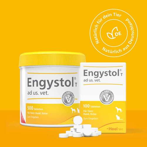 Engystol® ad us. vet. Tabletten - 7