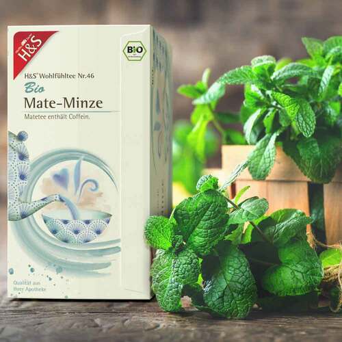 H&S Bio Mate-Minze Filterbeutel - 3