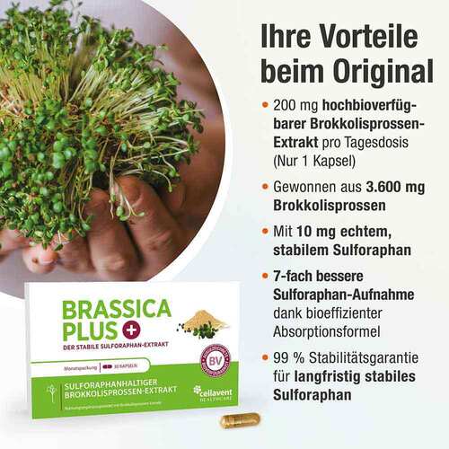 Brassica Plus Kapseln - 5