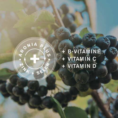 Aronia + Pro Immun direkt Direktgranulat Sticks - 3