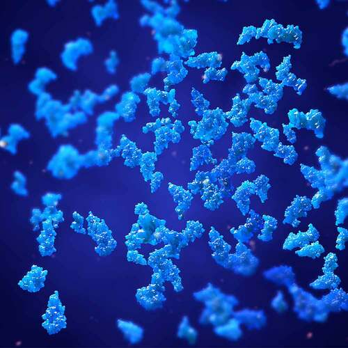 Bacillus subtilis plus Dr. Jacob`s Kapseln - 2