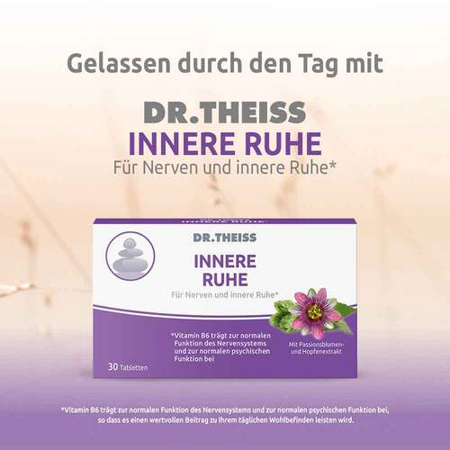 Dr. Theiss Innere Ruhe Tabletten - 2