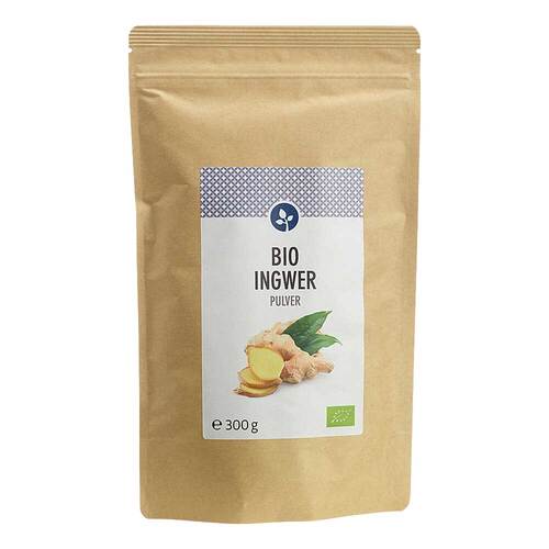Ingwer Pulver Bio - 1