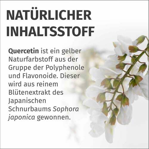 Green Naturals Quercetin 500 mg hochdosiert Kapseln  - 7