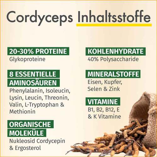 Green Naturals Cordyceps sinensis Kapseln - 3
