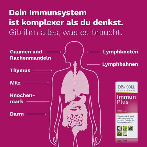 Immun Plus Dr. Koll Gemmo Komplex Vit.B6 B12 Selen - 4