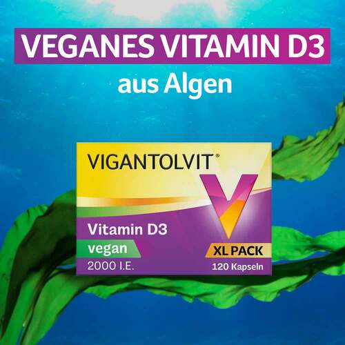 Vigantolvit 2000 I.E. Vitamin D3 vegan Weichkapseln  - 2