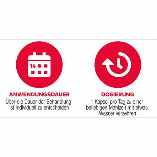 D3 + K2 Vit AL 2000 I.E. / 80 µg Kapseln - 2