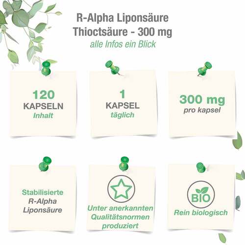 R-Alpha-Lipons&auml;ure 300 mg mit Thiocts&auml;ure Kapseln - 3