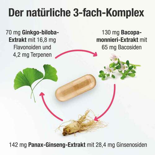 Cogni Plus Kapseln - 6