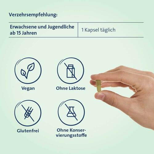 Eisen + C Hevert pflanzlich Kapseln - 3