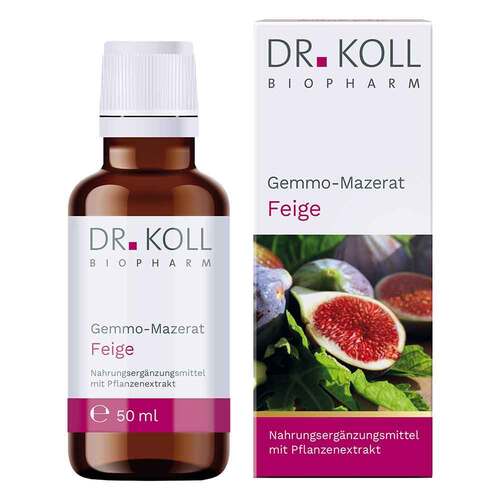 Gemmo Mazerat Feige Dr. Koll Ficus carica Tropfen - 1