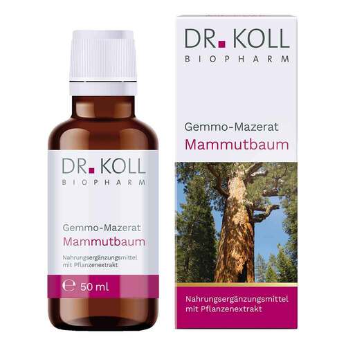 Gemmo Mazerat Mammutbaum Dr. Koll Sequoia gigantea - 1