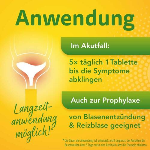 Solidago Aristo 300 mg Tabletten - 5