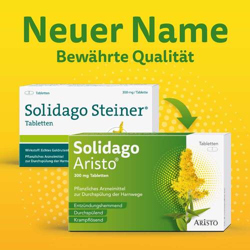 Solidago Aristo 300 mg Tabletten - 2