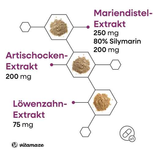 Mariendistel Komplex Artischocke + L&ouml;wenzahn veg.Kps - 3