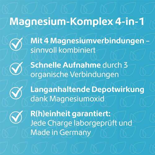 Magnesium Komplex 4in1 hochdosiert vegan Kapseln - 2