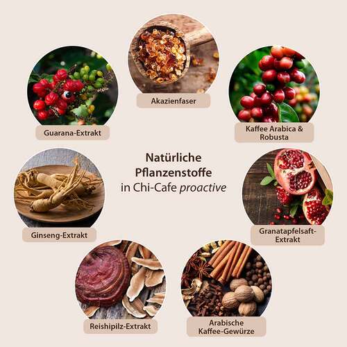 Chi-Cafe proactive Pulver Dr. Jacobs - 2