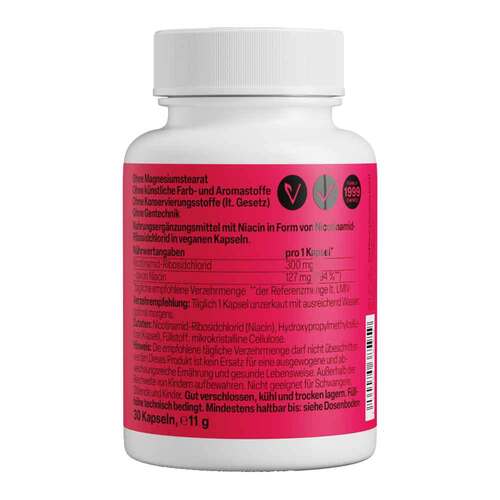 Pre-Nad + Nicotinamid Ribosidchlorid Kapseln Zeinpharma - 2