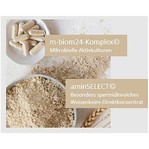 Spermidin Duo 5 mg Spermidin Kombipackung - 3