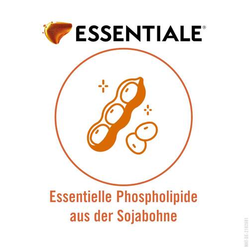 Essentiale Kapsel 300 mg - 5