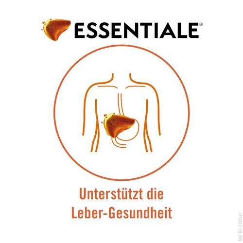 Essentiale Kapsel 300 mg - 6