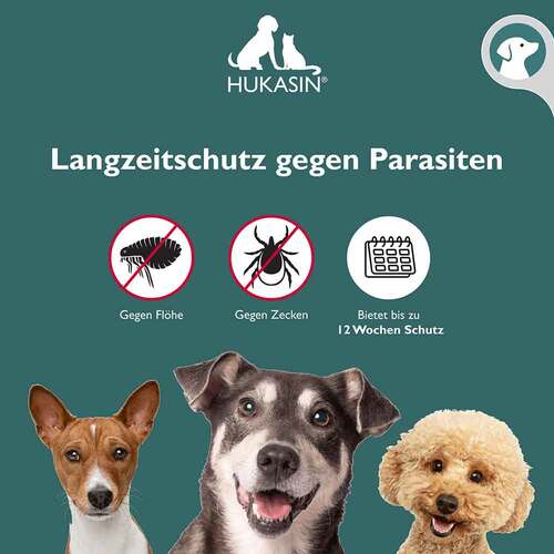 Hukasin Spot-on Zecken- und Flohschutz Ampulle f&uuml;r Hunde - 4