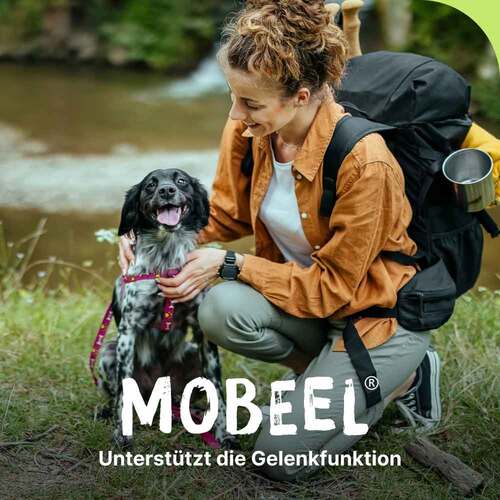 Mobeel Erg&auml;nzungsfuttermittel Pulver f&uuml;r Hunde / Katzen - 2