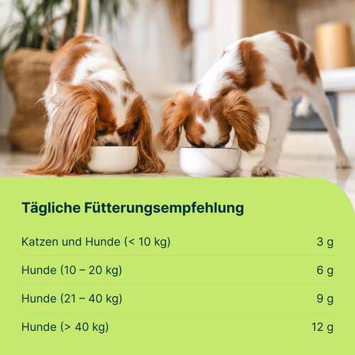 Mobeel Erg&auml;nzungsfuttermittel Pulver f&uuml;r Hunde / Katzen - 6