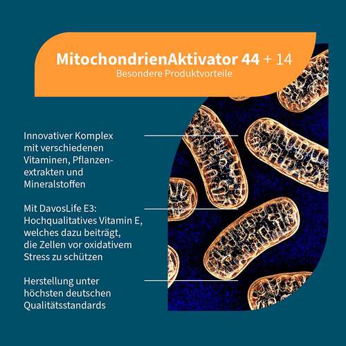 Mitochondrien 44 + 14 Multi-Komplex Kapseln - 2