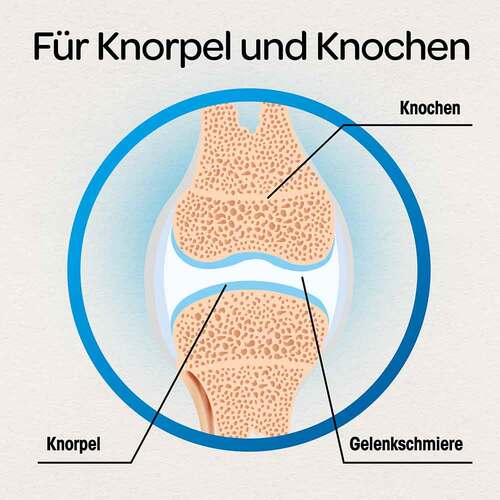 Dr. B&ouml;hm Knorpel &amp; Knochen Tabletten - 3