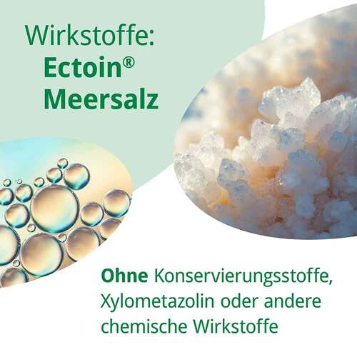 Rhinoguttae Neo Nasenspray - 4