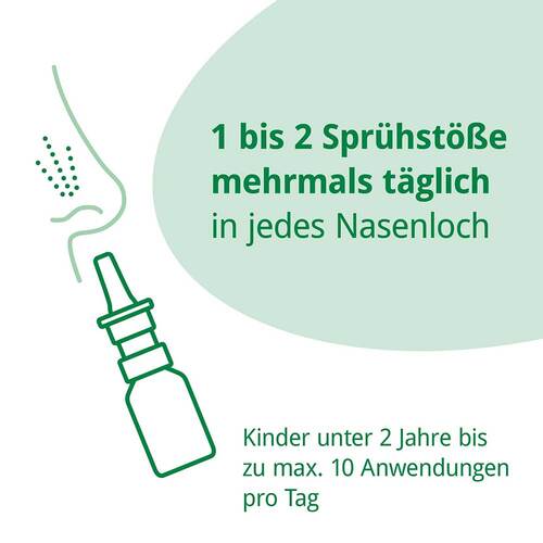Rhinoguttae Neo Nasenspray - 6