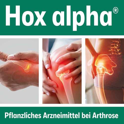 Hox alpha Hartkapseln - 2