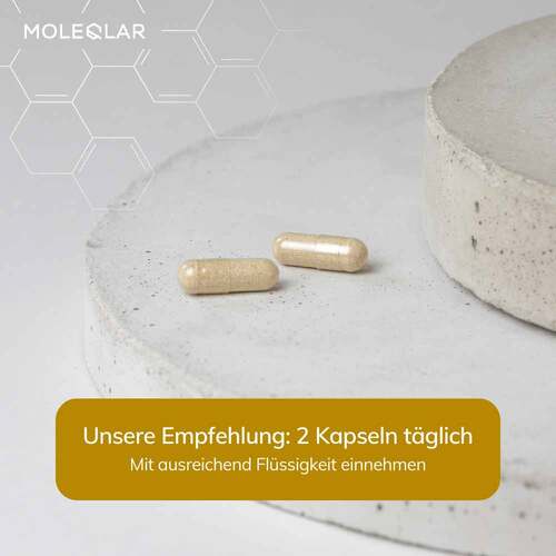Moleqlar Longevity Regenad Kapseln - 3