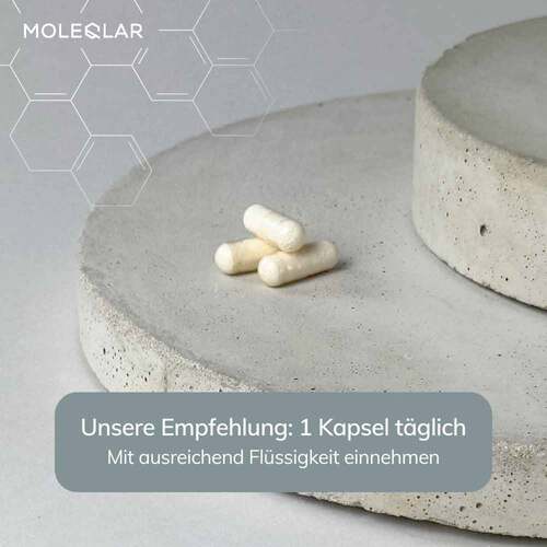 Moleqlar Longevity NR Pro Kapseln - 3